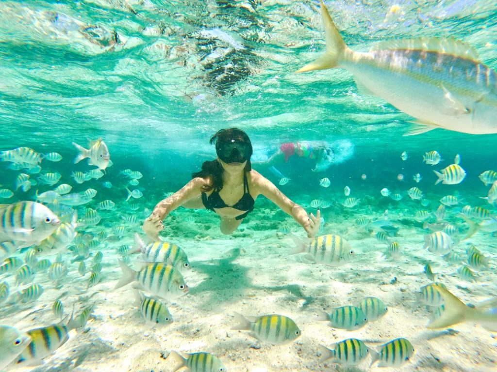 Mujer nadando entre peces de colores en isla Cayo Arena