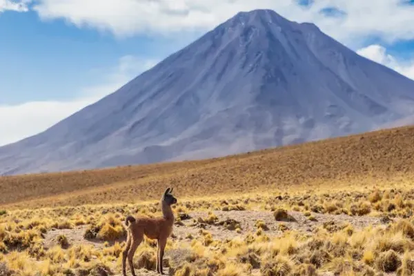 En este momento estás viendo 🇩🇴🇧🇴 ¡Ahora los Dominicanos Pueden Viajar Sin Visa para Bolivia!