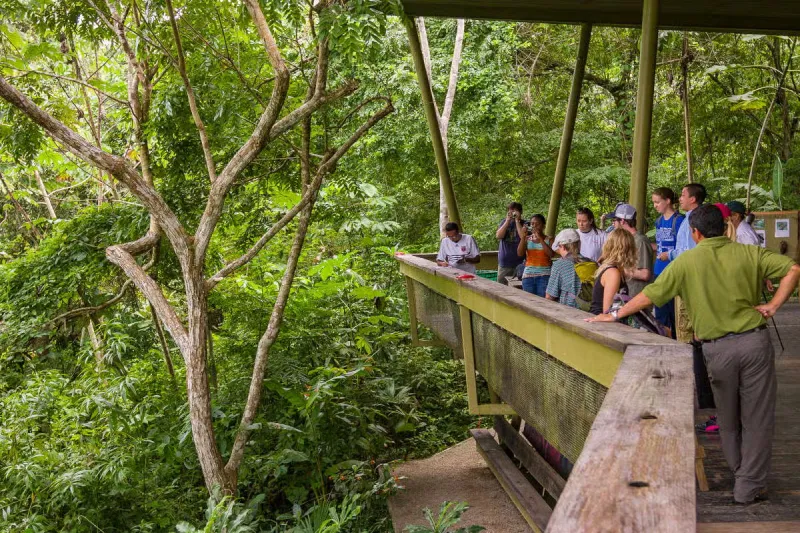 Santuario perezosos - qué hacer en Panamá